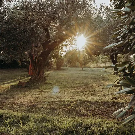 La Dolce Zen